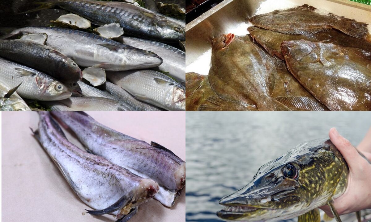 peshku